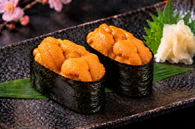 Hokkaido Uni**.